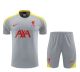 Liverpool Dark Gray  1:1 Quality Training Jersey（A-Set）24/25