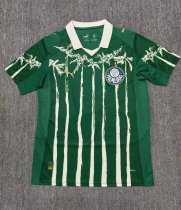 25/26 Palmeiras Home Fans 1:1  Quality  Soccer Jersey