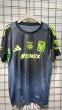 Tiger Goalkeeper Fans 1:1 Quality  Soccer Jersey 25/26