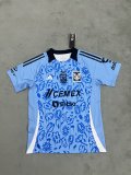 24/25 Tiger Earth Day Special Edition 1:1Quality Soccer Jersey