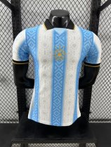 24/25  Argentina Special Edition  Player 1:1 Quality Soccer Jersey