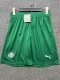 Palmeiras  Away Fans Shorts 25/26