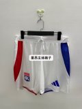 Lyonnais Home player 1:1 Quality Shorts 24/25