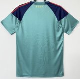 2010  Spain  Goalkeeper 1:1 Quality Retro Soccer Jersey