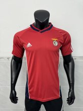 SL Benfica  Home Fans Retro  1:1 Quality Soccer Jersey 1999/2000