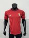 SL Benfica  Home Fans Retro  1:1 Quality Soccer Jersey 1999/2000