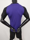 Germany  Training  Clothing  Purple  Player 1:1 Quality Soccer Jersey 24/25