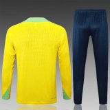 Brazil Training Yellow 1:1 Quality Training Jersey 24/25