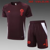 Bayern Munich  1:1 Quality Training Jersey（A-Set）25/26