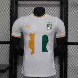 Cote d'Ivoire Special Edition Player 1:1 Quality Soccer Jersey 24/25
