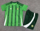 Northern Ireland Home Kids Kits 1:1 Quality Soccer Jersey 24/25