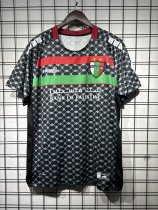 25/26 Palestino  Away Fans 1:1 Quality Soccer Jersey（巴勒斯坦人）