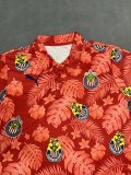 Chivas Special Edition Fans 1:1 Quality Soccer Jersey 24/25