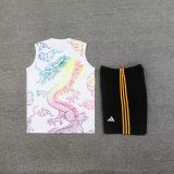 24/25  Real Madrid  White 1:1 Quality Training Vest（A-Set）
