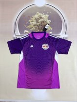 New York Red Bulls Goalkeeper Purple Fans 1:1 Quality Soccer Jersey 25/26