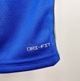 Kings FOX #5 Blue City Edition  1:1 Quality NBA Jersey热压 2024