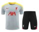 Liverpool Dark Gray  1:1 Quality Training Jersey（A-Set）24/25