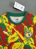 Senegal Training Clothes Fans 1:1 Quality Soccer Jersey 24/25