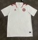Denmark Away Fans 1:1 Quality Soccer Jersey 24/25