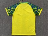 Brazil Special Edition Fans 1:1 Quality Soccer Jersey 25/26