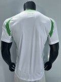 Algeria  Home Fans 1:1 Quality Soccer Jersey 24/25