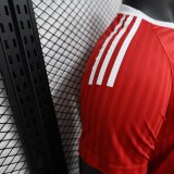 Manchester United Special Edition Red Player 1:1 Quality Soccer Jersey 24/25