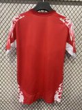 Manchester United  Special Edition Fans 1:1 Quality Soccer Jersey 25/26