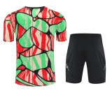 Arsenal Color 1:1 Quality Training Jersey（A-Set）25/26