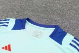 Spain  Blue 1:1 Quality Training Jersey（A-Set） 24/25