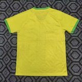 Brazil Special Edition Fans 1:1 Quality Soccer Jersey 25/26