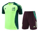Mexico Green  And Burgundy  1:1 Quality Training Jersey（A-Set）24/25