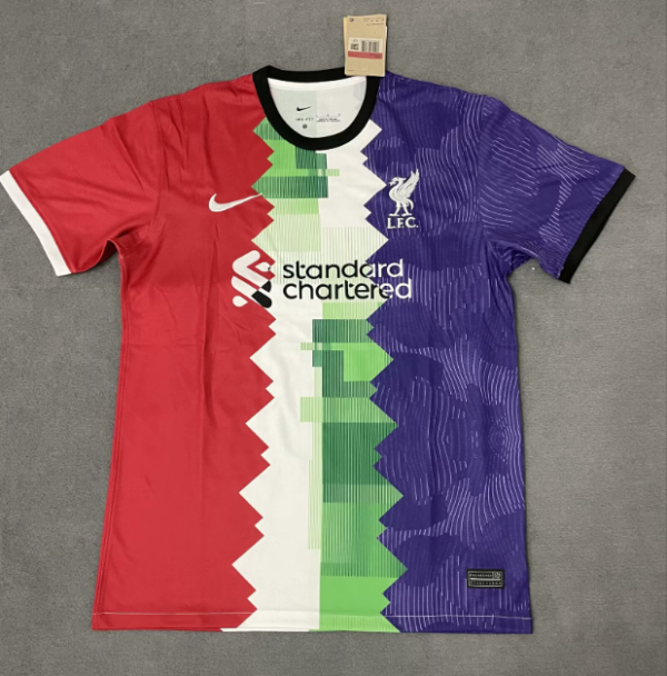 Liverpool Special Edition Fans 1:1 Quality Soccer Jersey 24/25