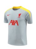 Liverpool Dark Gray  1:1 Quality Training Jersey（A-Set）24/25