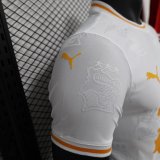 Cote d'Ivoire Special Edition Player 1:1 Quality Soccer Jersey 24/25
