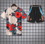 Bayern Munich  1:1 Quality Training Jersey（A-Set）25/26