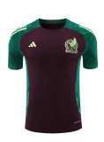 24/25    Mexico  Wine Red  And Green  1:1 Quality Training Jersey（A-Set）