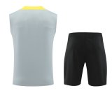 Liverpool  Dark  Gray  1:1 Quality Training Vest（A-Set）24/25