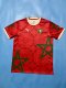 Morocco Special Edition Red Fans 1:1 Quality Soccer Jersey 24/25