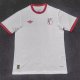 Benfica Anniversary Edition Fans 1:1 Quality Soccer Jersey 25/26