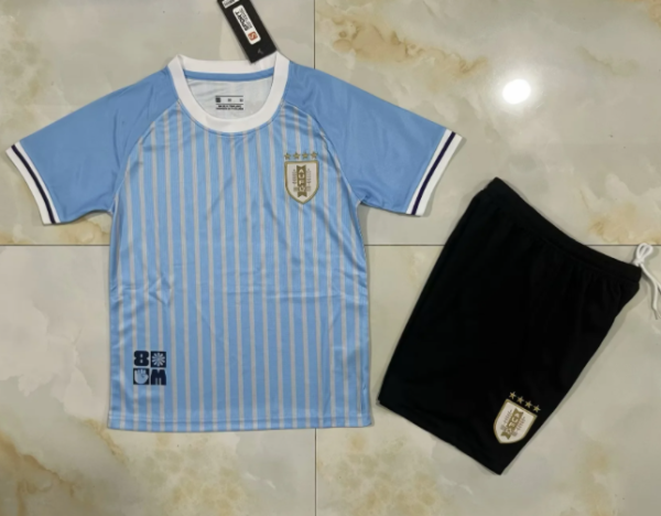 Uruguay Home 1:1 Kids Soccer Jersey 24/25