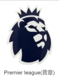 Fulham  Away  Fans 1:1 Quality Soccer Jersey 24/25