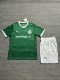 Palmeiras  Home Adult Kits 1:1  Quality  Soccer Jersey 25/26（成人套装）