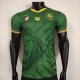 Cameroon Home Player  1:1 Quality Soccer Jersey 25/26