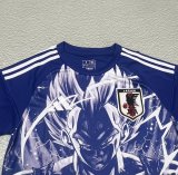Japan Special Edition  Fans 1:1 Quality Soccer Jersey 24/25