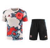 Bayern Munich  1:1 Quality Training Jersey（A-Set）25/26