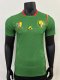 Cameroon Home Player  1:1 Quality Soccer Jersey 24/25