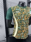 Cote d'Ivoire Special Edition Player 1:1 Quality Soccer Jersey 24/25