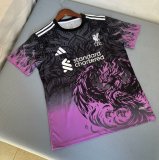 Liverpool  Black Purple Fans 1:1 Quality Soccer Jersey 25/26