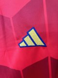 Spain Special Edition Fans 1:1 Quality Soccer Jersey 25/26