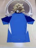 Juventus Goalkeeper Blue  Fans 1:1 Quality Soccer Jersey 25/26